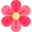 Flower Delivery App