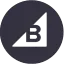 BigCommerce Icon