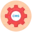 CMS Icon