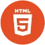 HTML5 Icon