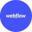 Webflow Icon