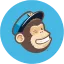 MailChimp Icon