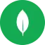 MongoDB Icon