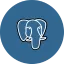 PostgreSQL Icon