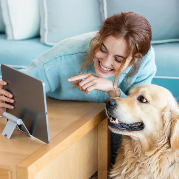 Pet Care App Solutions Kolkata, India